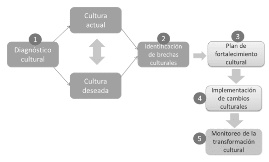 Modelo de Análisis Cultural consultoría de cultura organizacional