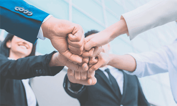 Consultoría de línea de carrera y planes de sucesión en perú